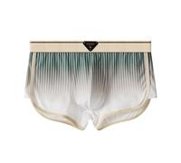Slips Homme Coton Fashion Briefs G-String Thong Microfibre Shorty Caleçon Nouveauté Personnalisé Men's Lingerie en Dentelle Un Design de Couleur Unique pour Confort Tout au Long