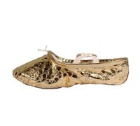 SLJYM Chaussons de Yoga pour Femmes Adultes, Chaussures de Danse de Ballet du Ventre en PU Doré et Argenté, Grande Taille, Chaussures d'entraînement et de Performance