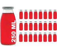 Slkfactory Lot de 24 Bouteilles de 250 ML vides en Verre avec Bouchon à vis, 24 l, pour Lait ou jus