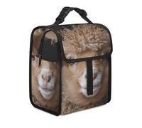 SLKMHFT Sac à déjeuner portable, sac à déjeuner isotherme en laine marron de mouton, pour homme et femme, boîte à déjeuner réutilisable pour le travail, le bureau, les voyages, le camping, le