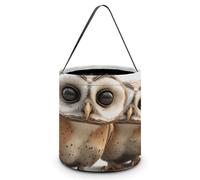 SLKMHFT Sac fourre-tout pliable pour Halloween, motif chouette, seau à bonbons réutilisable avec poignées pour fête d'Halloween, fête de Noël, hibou amusant, 20,1 x 20,1 x 21,1 cm, Chouette amusante.,