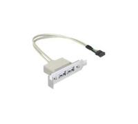Slot bracket - Câble USB - USB (F) pour embase USB à 9 broches (F) - USB 2.0 - 50 cm