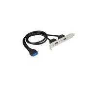 Slot bracket - Panneau USB - USB type A (F) pour tête 19 broches USB 3.0 (F) - pour Delock Converter M.2