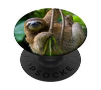 Sloth Gift Perezoso Animal White Background Baby Sloth Heart PopSockets PopGrip Adhésif