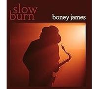 Boney James - Slow Burn [Compact Discs]