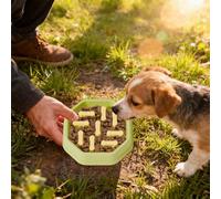 Slow Feeder Dog Bowls - Anti Choking Preventing Dishes, Healthy Eating for Puppy Pet Cat, Water Feeding for Small Large Medium Breed, Anti Gorging Solution, 1.77 inches