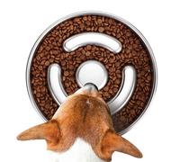 Slow Food Gamelle pour chien en acier inoxydable pour grandes races | Adorable gamelle antidérapante pour chien pour une alimentation saine, nourriture sèche, humide et crue,
