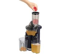 Slow Juicer Extracteur de jus électrique, 250 W, Extracteur de jus compact, adapté aux fruits et légumes entiers, facile à nettoyer, équipé de 2 gobelets en verre de 800 ml