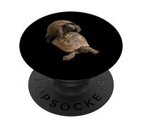Slow Love Tortue Accouplement Faune Découpe PopSockets PopGrip Adhésif