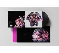 Slow Show,the - Still Life [Import]