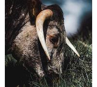 Slow White Fall - Pushing Through A Wall - Downwards - DNLP27