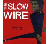 Slow Wire - Analog Living