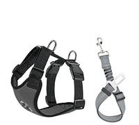 SlowTon Ensemble de Harnais et Laisse de sécurité de Voiture, Multifonction Tissu Réglable Respirant Gilet Ordinaire Harnais avec Ceinture De Sécurité en Voiture Route Voyage Promenade