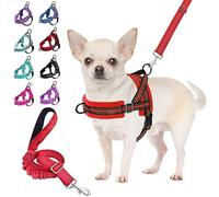 SlowTon Harnais pour chien avec laisse, harnais anti-traction, réglable, réfléchissant, harnais de sécurité anti-étouffement, pour chiens de petite, moyenne taille et chiots