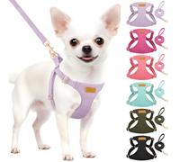 SlowTon Harnais pour Chien sans Traction avec Laisse - Harnais pour Chiot léger et Doux à Enfiler, Harnais réglable pour Petits et Moyens Chiens