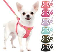 SlowTon Harnais pour Chien sans Traction avec Laisse - Harnais pour Chiot léger et Doux à Enfiler, Harnais réglable pour Petits et Moyens Chiens