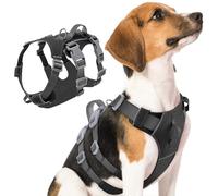 SlowTon Harnais pour Chien sans Traction - Harnais Léger et Anti-Fugue avec Poignée de Levage Rembourrée, Harnais Gilet Réfléchissant Ajustable pour Chiens de Petite, Moyenne et Grande Taille