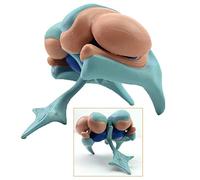 SLRMKK Modèle du Noyau basal - Modèle du ventricule et du Noyau basal du Cerveau Modèle de grossissement du Noyau basal - Modèle du Noyau basal Anatomie Humaine Modèle cérébral du Noyau caudé