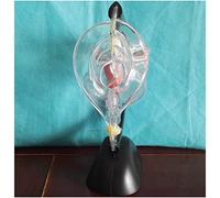 SLRMKK Modèle d'utérus modèle Anatomique d'organe Humain - Modèle de système reproducteur utérin pathologique Transparent - Modèle d'utérus Anatomique avec viscéral détachable