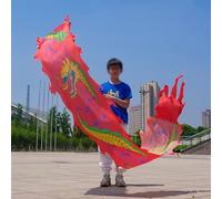 SLSKO Ruban de Fitness Dragon Dance Dragon Poi Streamer Ruban for Enfants Multicolore Plusieurs Tailles Pack de 1(Red,300CM)