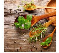 SLV1049 Sticker Cuisine Lave Vaisselle Cuillère en Bois Aromates 60x60cm (Fond Transparent)