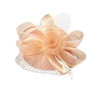 SLXLYH Bandeau vintage en épingle à cheveux avec filet de fleur - Accessoire de cheveux élégant - Décoration de cheveux pour femme et femme (dents de sang)
