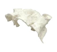 SLXLYH Refuge De Poisson PETG Coulant avec Grandes Ouvertures Tunnel Habitat Soulagement du Stress pour Aquariums d'eau Salée