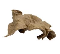 SLXLYH Refuge De Poisson PETG Coulant avec Grandes Ouvertures Tunnel Habitat Soulagement du Stress pour Aquariums d'eau Salée