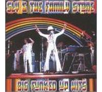 Sly & Family Stone - Big Funked Up Hits