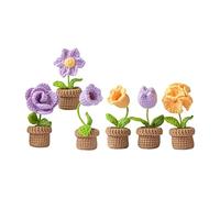 SM SunniMix Kits De Crochet pour Adultes Débutants, Kit De Bricolage Au Crochet, Crocheted Planter Crocheting Craft Table Centerpieces Kit De Crochet pour Enfants Adolescents, Violet
