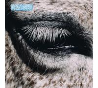 Smag Pa Dig Selv - This Is Why We Lost (180g Lp)