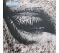 SMAG PA DIG SELV - THIS IS WHY WE LOST [Vinilo]