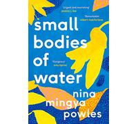 Small Bodies of Water
