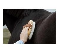 Small brosse douce à poil doux pour cheval Grooming Deluxe Blanc TU