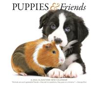 SMALL CHANGES Chiots et amis 2026 Mini Cal, 1 ch