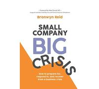 Small Company Big Crisis