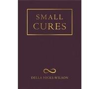Small Cures by Della HicksWilson Della HicksWilson (Auteur)