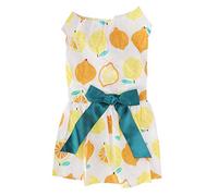 Small Dog Clothes | Summer Fruit Pattern Dress for Shaved Skin Protection/Parties/Photos | Soft Polyester Pet Costume, Easy Use & Care (M)