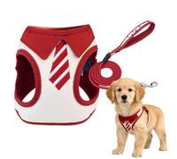 Small Dog Harness and Leash - Breathable Polyester Puppy Vest