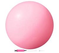 Small Exercise Ball for Between Knees - 9.84in Anti Burst Non-Slip Portable