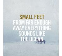 Small Feet - From Far Enough Away Everything Sounds Like [VINYL]
