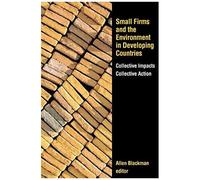 Small Firms And The Environment In Developing Countries