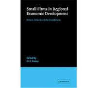Small Firms in Regional Economic Development