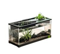 Small Fish Tank, Acrylic Desk Aquarium, Clear Compact Aquarium Kit with Filter, Quiet Air Pump Easy Fishkeeping, Modern Design for Tabletop Or Studio Use,12.4x5.31x6.5 inches
