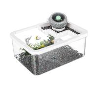 Small Fish Tank, Landscape Tank, 11.42x8.66x4.72 inches Desktop Hydroponic Aquarium with USB Pump, Light Source Light, Compact Aquaponics for Bedroom, Bookshelf, Office, Reef, Shrimp