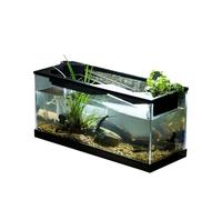 Small Fish Tank with Filter - Acrylic 31.5x13.5x16.5cm | Desktop Aquarium Kit | USB Powered Starter Set with Air Pump for Tabletop Living Room Office Home Studio Decorative Aquatic Habitat