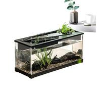 Small Fish Tank with Filter - Acrylic 31.5x13.5x16.5cm | Desktop Aquarium Kit | USB Powered Starter Set with Air Pump for Tabletop Living Room Office Home Studio Decorative Aquatic Habitat