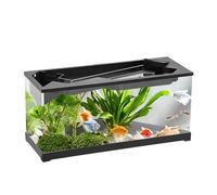 Small Fish Tank with Filter, Clear Acrylic Aquarium, Air Pump and Oxygenation Included, 12.4x5.31x6.5 inches Sturdy Container, Oxygenated Fish Tank for Shrimp, Turtle, and Reptile