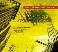 Small Flowers Crack Concrete - Build Me A Brand New Sky [Import]
