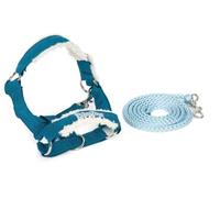 small foot Kit de Licol Hobby Horse « Amadeus » Bibi & Tina, dès 3 Ans